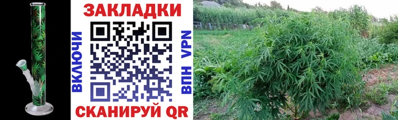 Где продают наркотики Кимры Канабис Cocaine ГАШИШ A-PVP Метадон Мефедрон