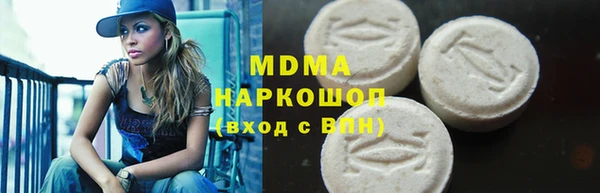 индика Алексин