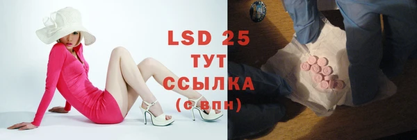 индика Алексин