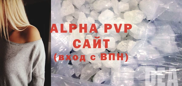 индика Алексин