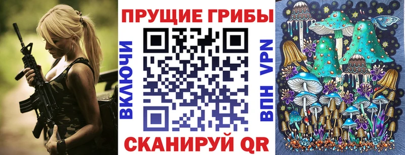 Галлюциногенные грибы Psilocybine cubensis  Кимры 